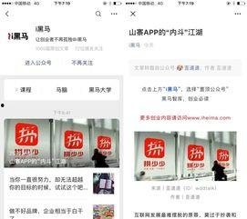 最近关注过的头条公众号,揭秘近期头条公众号热门话题