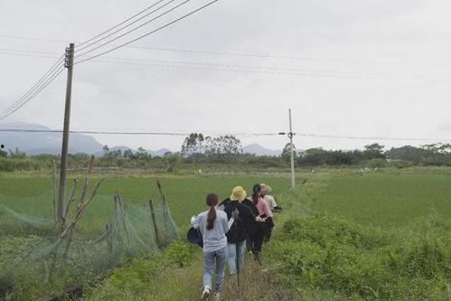 淮滨农村网红直播基地