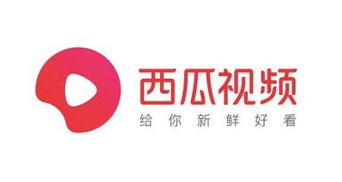 怎么在头条直播购物袋,头条直播购物袋功能详解