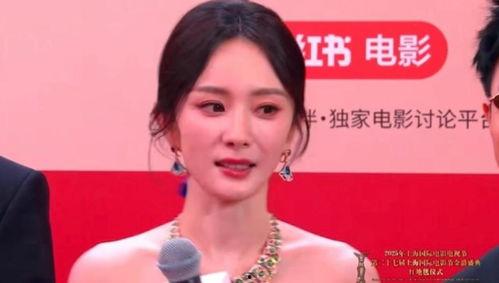 明星气氛,明星璀璨之夜回顾