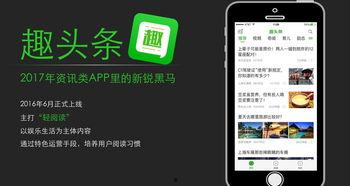 东丽趣头条,趣头条带你领略这座城市的多彩生活