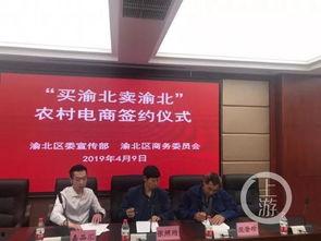 渝北二院新闻头条,创新医疗技术助力患者康复，打造区域医疗新标杆