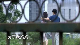 在线观看夏家,家族荣耀与情感纠葛的交织画卷