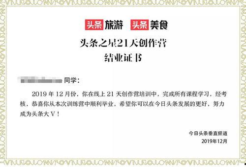 头条夜猫之星校园计划,探索无限可能