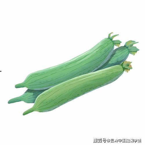 胆小且卑微的吃瓜,揭秘幕后真相
