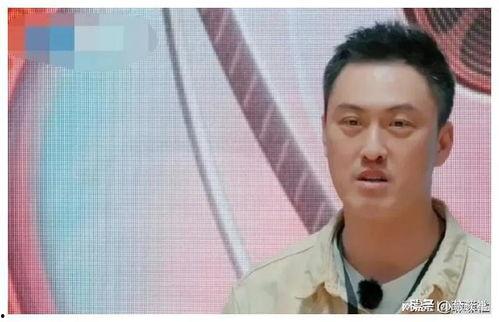 娱乐圈吃瓜茅子俊