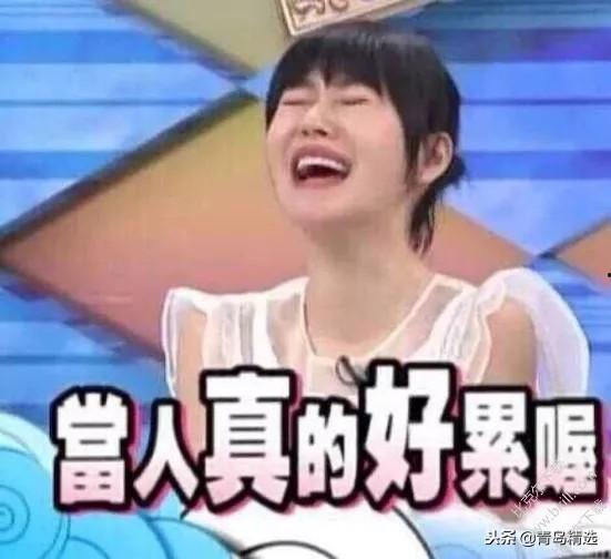 娱乐圈吃瓜短剧有哪些