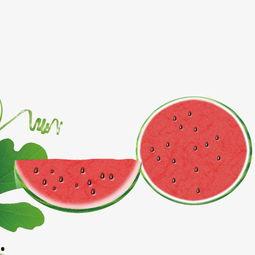 吃瓜娱乐素材视频下载