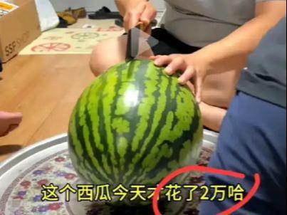 网络吃瓜事件,揭秘网络舆论的狂欢与反思