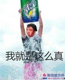 娱乐吃瓜gai,GAI带你领略娱乐圈的麻辣鲜香