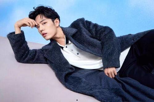 爱豆娱乐吃瓜酱肖战