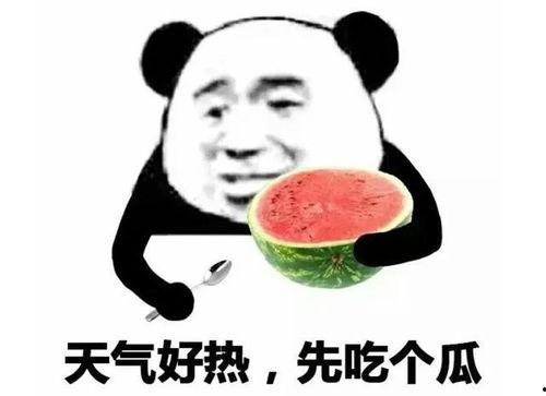 搞笑娱乐吃瓜图片表情包,笑料横生！搞笑娱乐吃瓜表情包大盘点