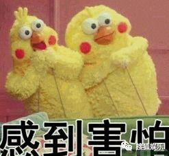 娱乐吃瓜酱什么是爱情,揭秘爱情的多面魅力
