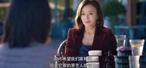 娱乐圈吃瓜熊姐小说,熊姐的吃瓜日常